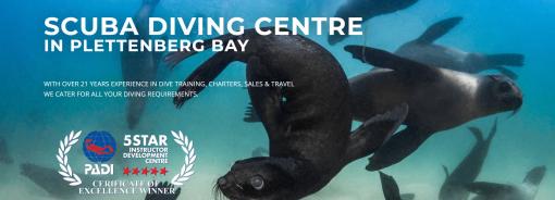 ProDive Plettenberg Bay